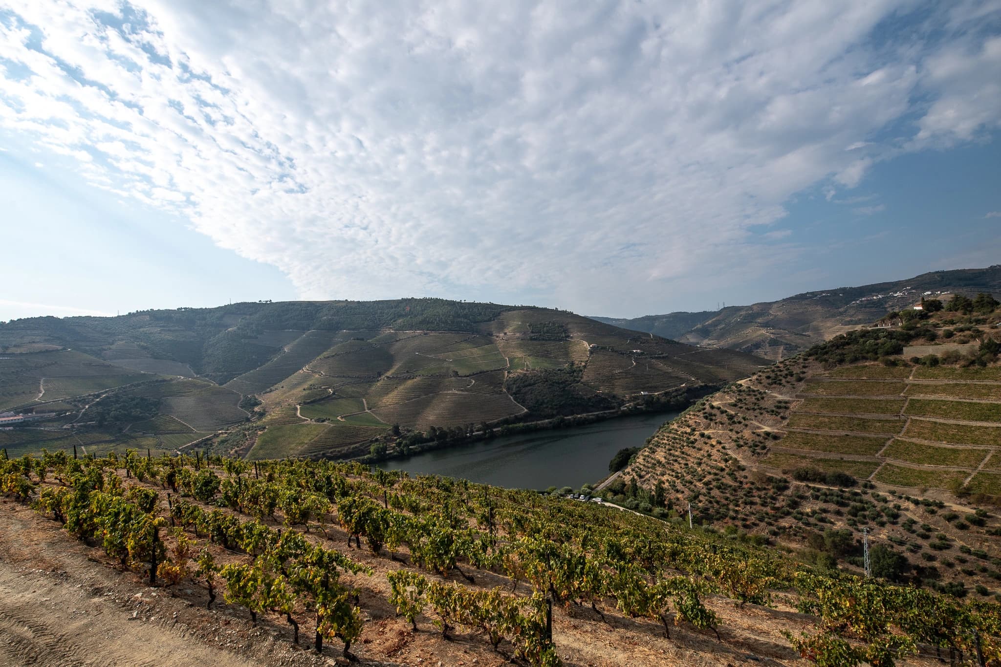 Douro Valley vineyards landscape