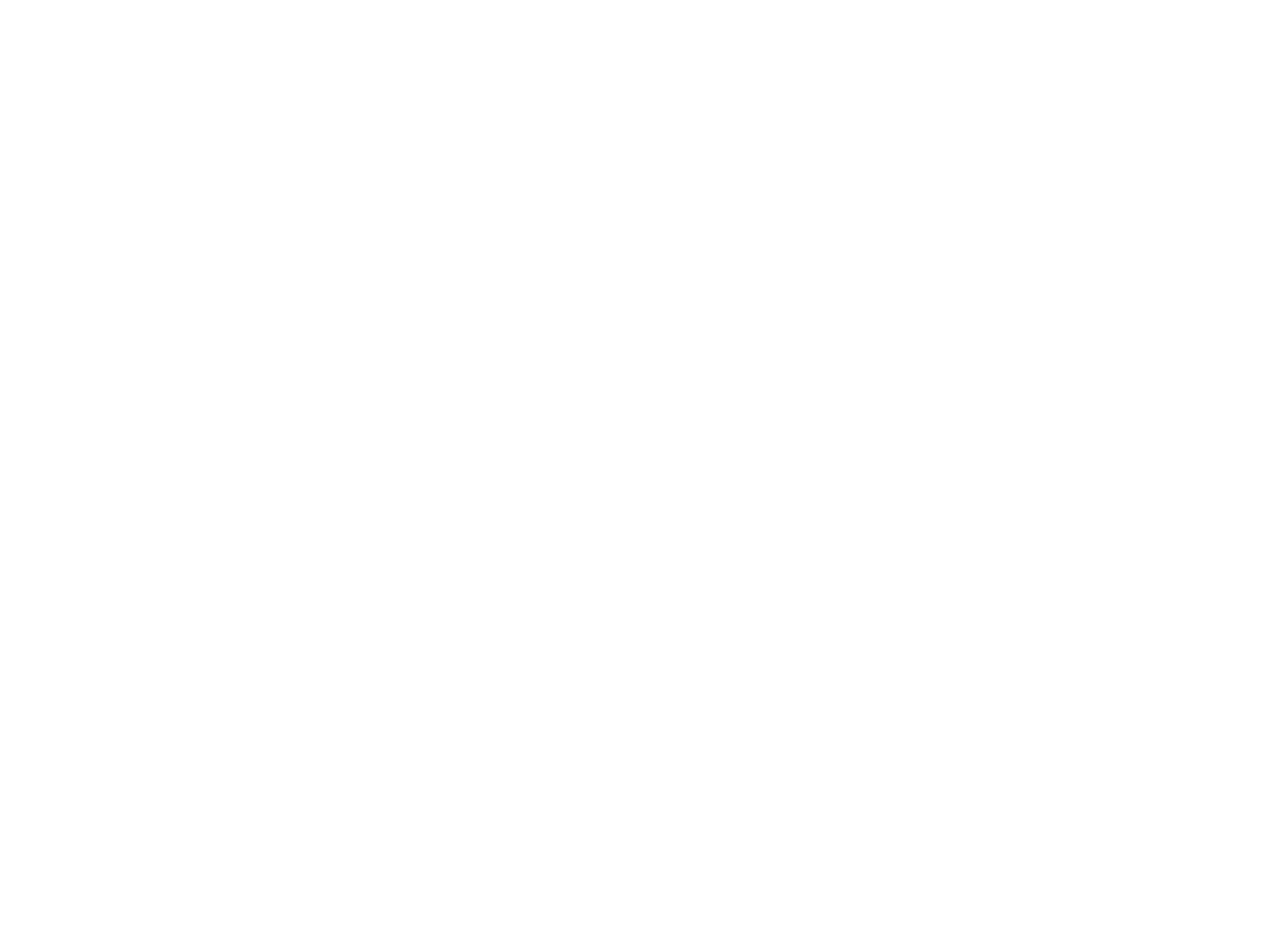 Vieira de Sousa Logo Mono