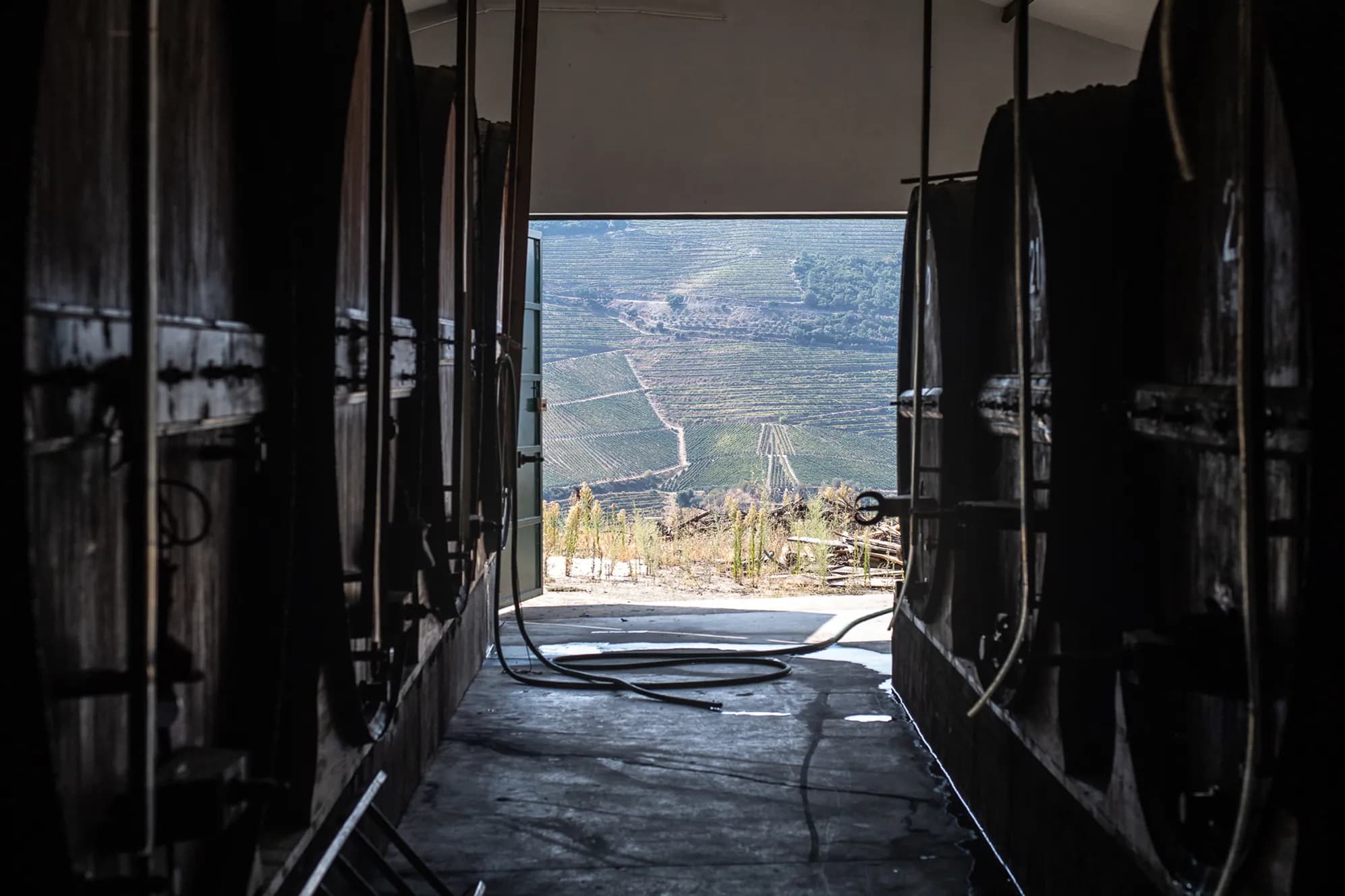 View from the cellar with Douro vineyards in the background